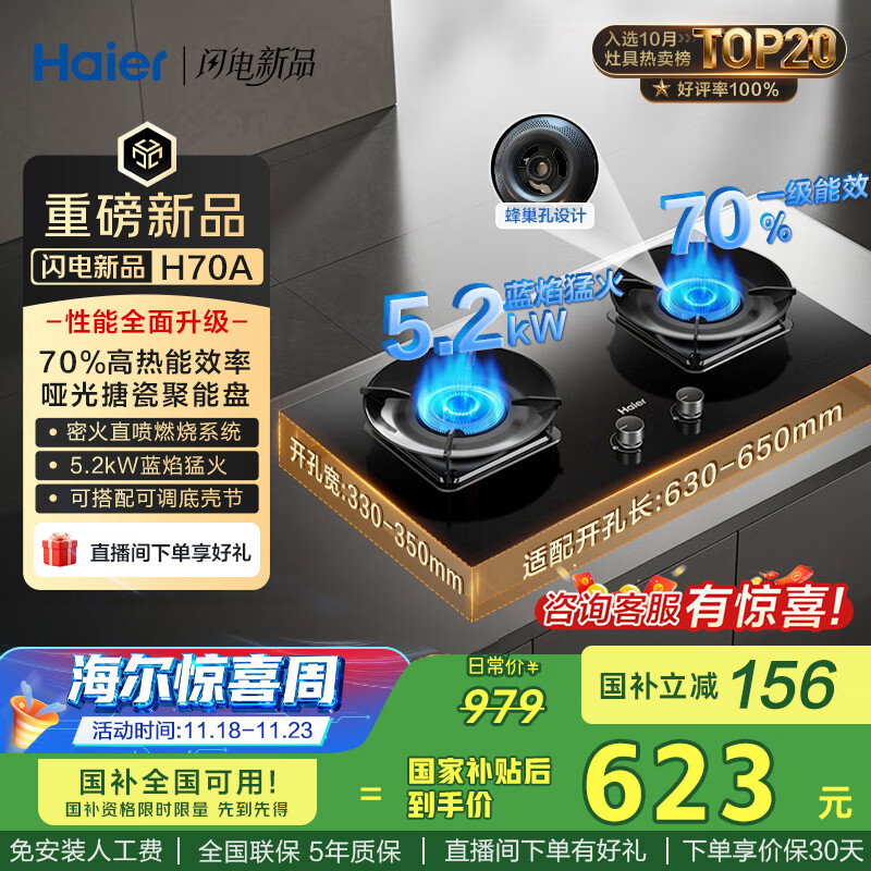 海尔（Haier）天然气燃气灶双灶 家用节能台嵌两用嵌入式 70%高热效率5.2kw超密火 【国家补贴20%】可调底盘H70A