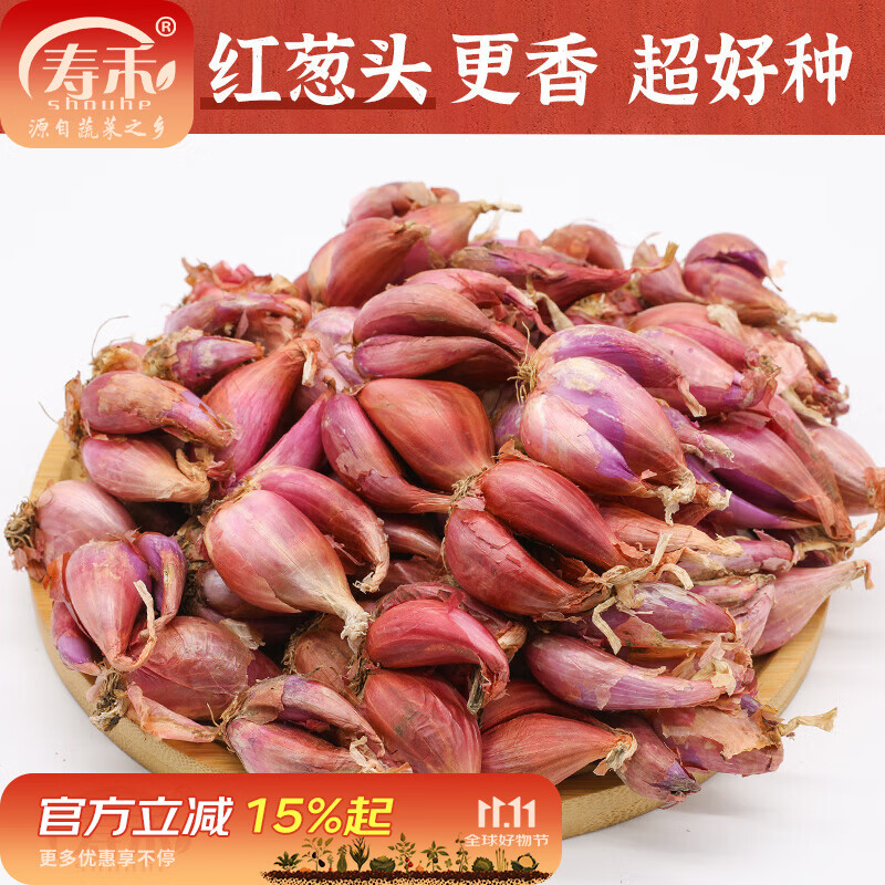 寿禾 四季红葱头小葱种子火葱头四川干皮秋冬季蔬菜莱疏菜阳台种种籽 红葱头 1斤+50g有机肥