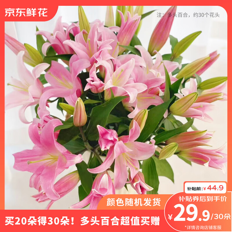 京东鲜花20朵百合送10朵共30朵随机色鲜切花圣诞节元旦节送老婆源头直发