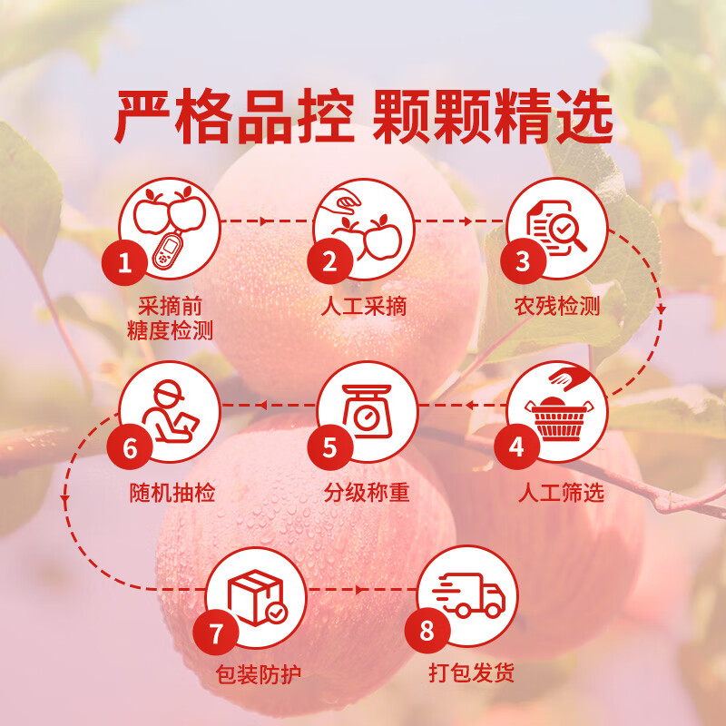 东方甄选新疆阿克苏苹果冰糖心脆甜爽口多汁新鲜应季水果坏果包赔过年年货 【5斤装中果】约10-13个 单果190g+