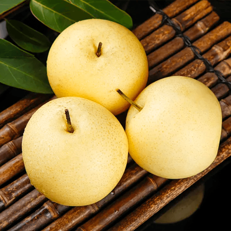 绿熊庄园山西贡梨果冰糖蜜梨农家果园新鲜采摘酥脆多汁应季现发孕妇水果 精品果王净重8.5斤【单果350g往上】