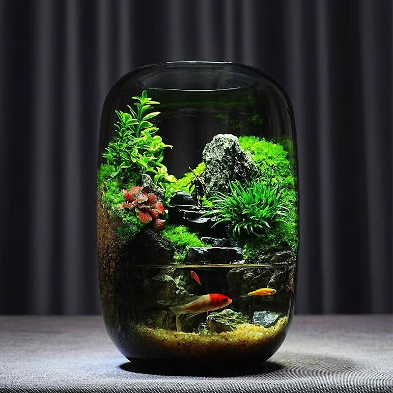 񳽺΢۲ƿˮֲ칫װΰڼ̦޺쾰 ׵ 198Ԫ