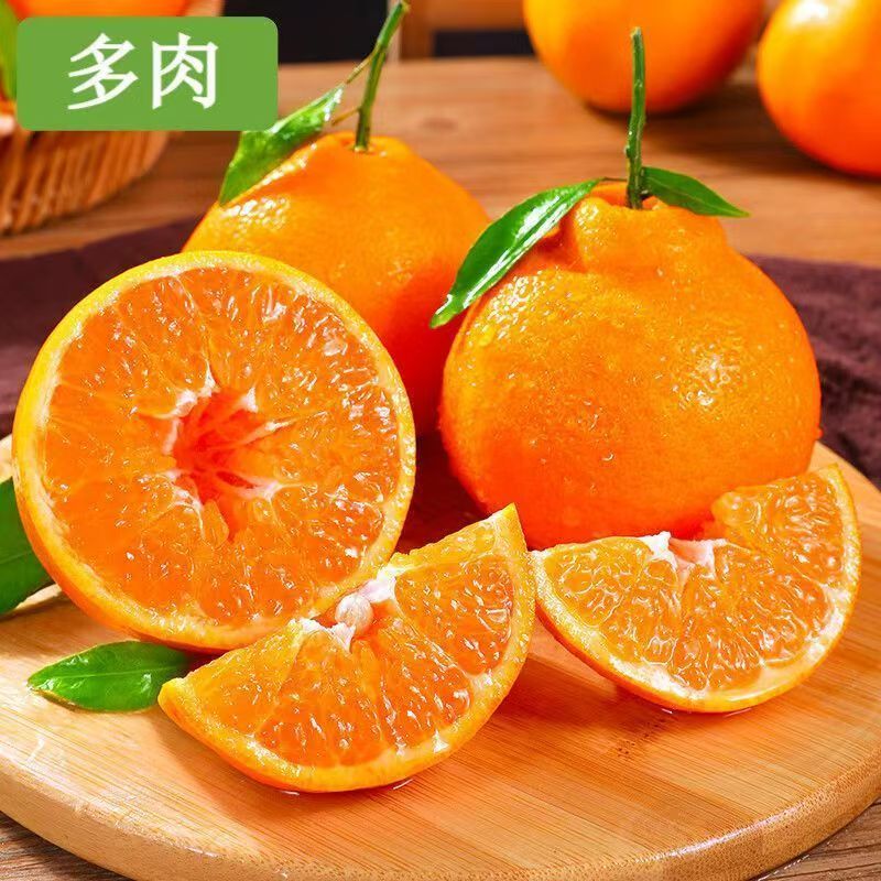 正宗四川春见耙耙柑橘子新鲜应季现摘水果当季桔子粑粑柑整箱包邮 尝鲜2斤装