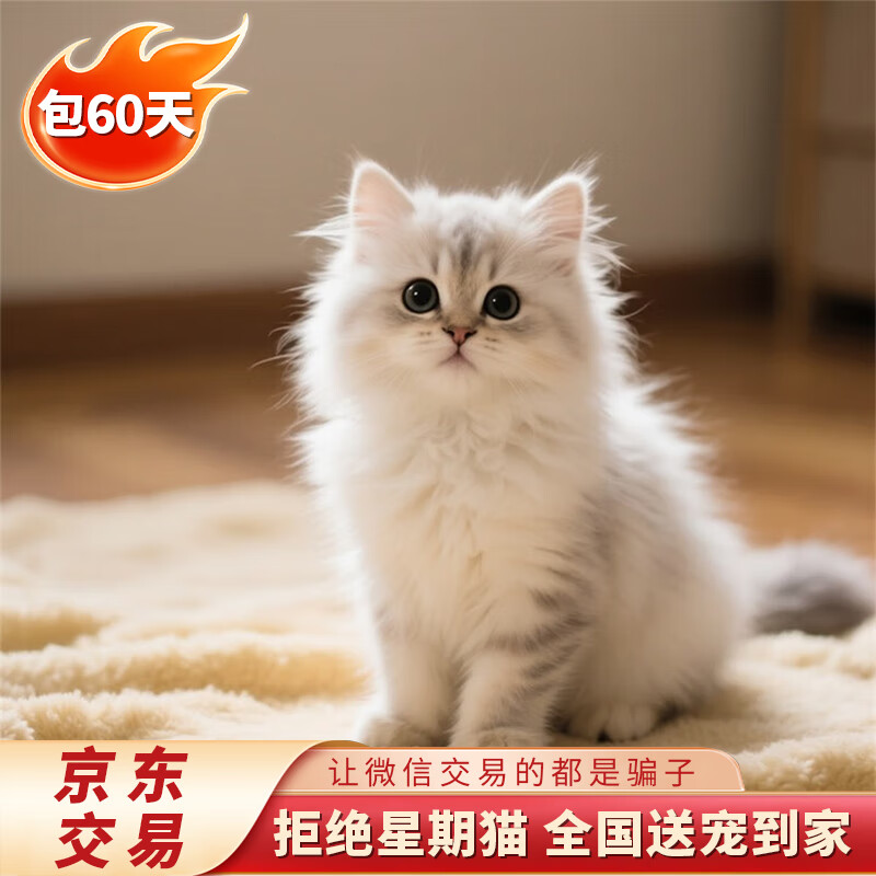 ���ڲ�����ܰ�������ֽ���è�������è�������س�ë��˹è����Сè�� ���Ｖ ����� �� 660Ԫ