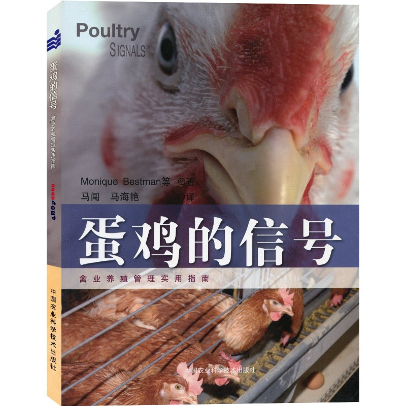 蛋鸡的信号