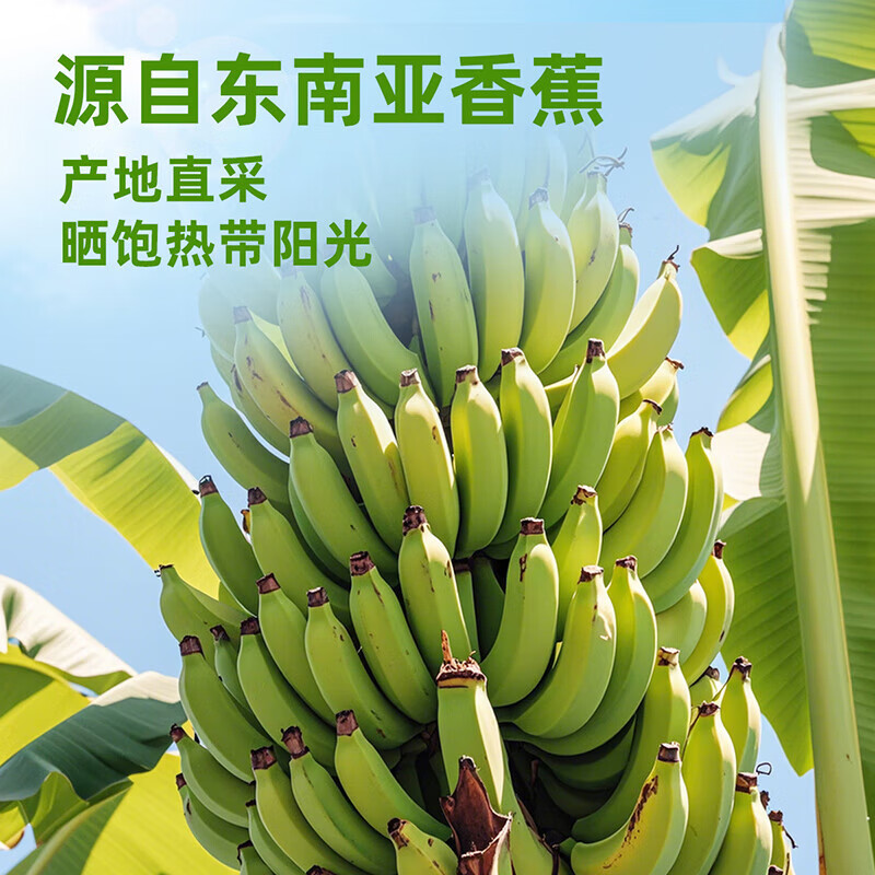 味滋源香蕉片干果脯零食香蕉干芭蕉脆东南亚水果干蜜饯零食特产点心 120g*1袋