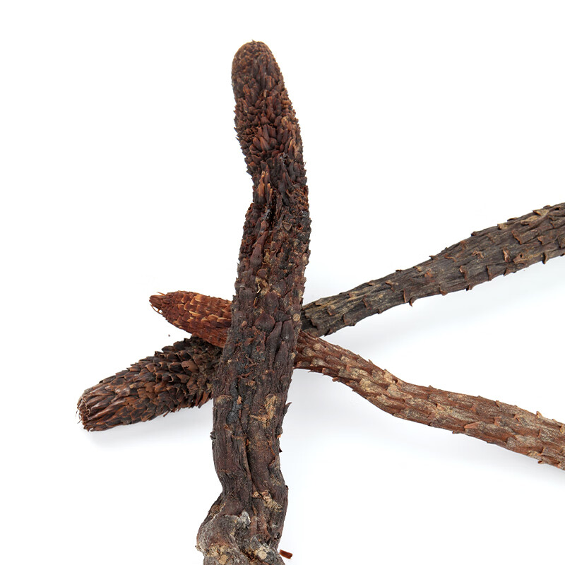 新疆特产 荒漠肉苁蓉整根 （100g-120g）*1根