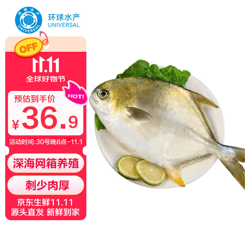 环球水产南海大规格金鲳鱼550g1条 BAP认证 海鱼 生鲜鱼类 火锅 烧烤海鲜