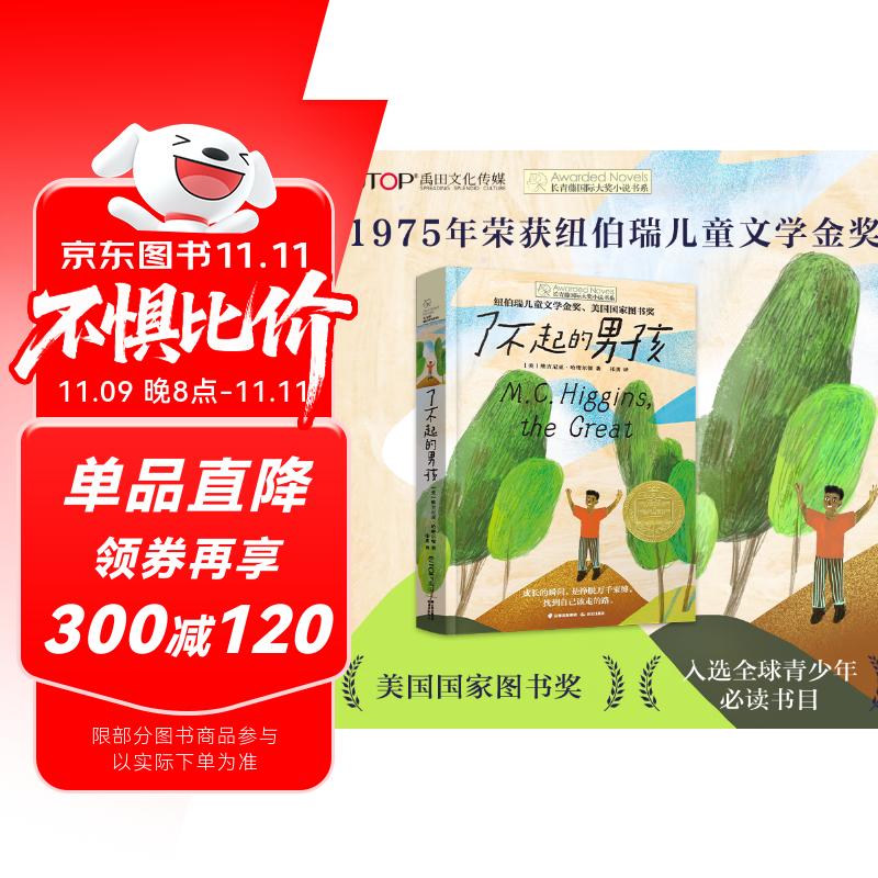 长青藤国际大奖小说了不起的男孩 纽伯瑞儿童文学金奖 无惧权威、独立自强等主题三四五六年级中小学必读影响孩子一生的国际儿童文学奖经典名著课外阅读 