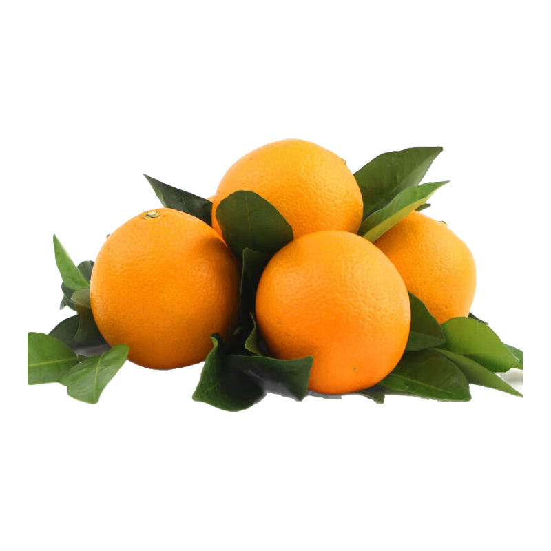 秭归原产橙子新鲜当季水果整箱现摘现发 多汁应季生鲜 5斤中小果