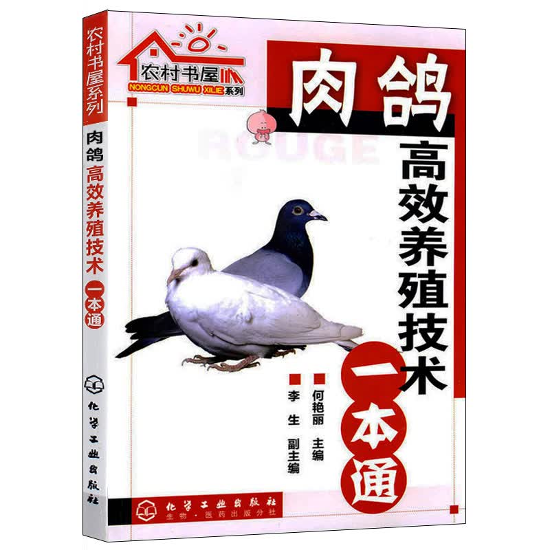农村书屋系列 肉鸽高效养殖技术一本通 肉鸽养殖技术书籍 养鸽子的书籍 科学养殖肉鸽病害防治