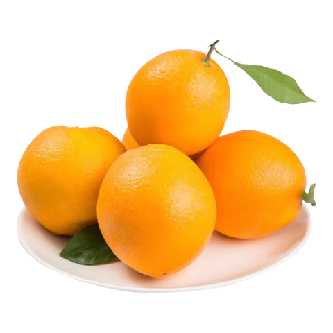 èȸְˮժӽ ȡ-580mm 8.9Ԫ(ȯ)