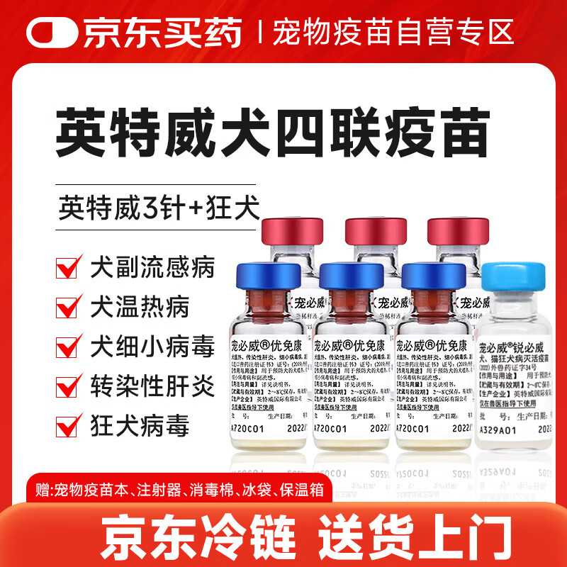 Ӣ����Ȯ���������������⿵3��+�������Ȯ1��	