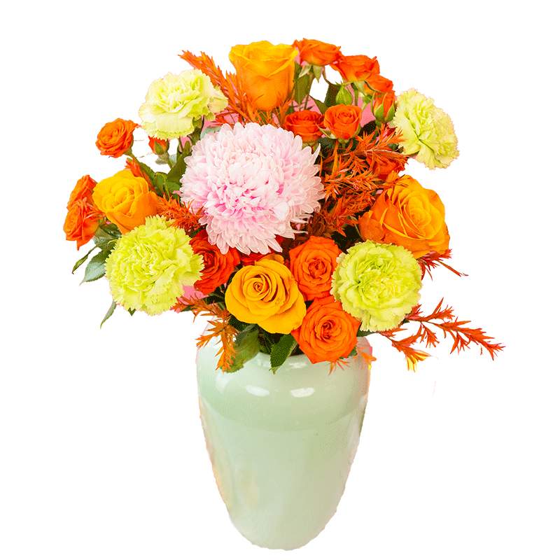 �����ʻ� �������� õ�廨 �ٺϻ� ��ͷ���� ��������ֱ�� 25.9Ԫ