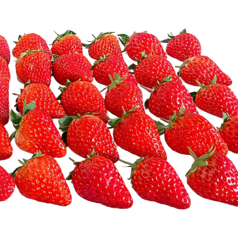 ݮ99ͺղݮ ˮ ݮƷװ500gװ 49.9Ԫ