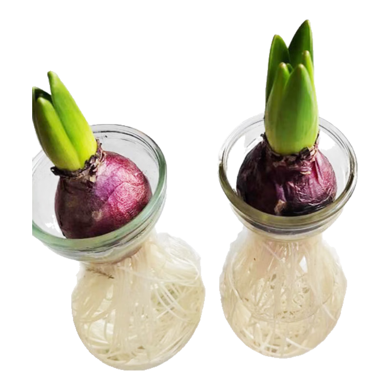 ڷˮ칫Զͺ 鲣װ ܳ16/17cm 7.98Ԫ