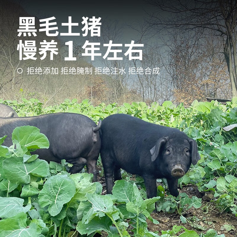 杨博士生鲜猪肉皖南散养黑毛土猪肉五花肉+腿肉+肋排【全猪宴】烤肉食材 【黑猪肉组合】肋排+五花肉+腿肉