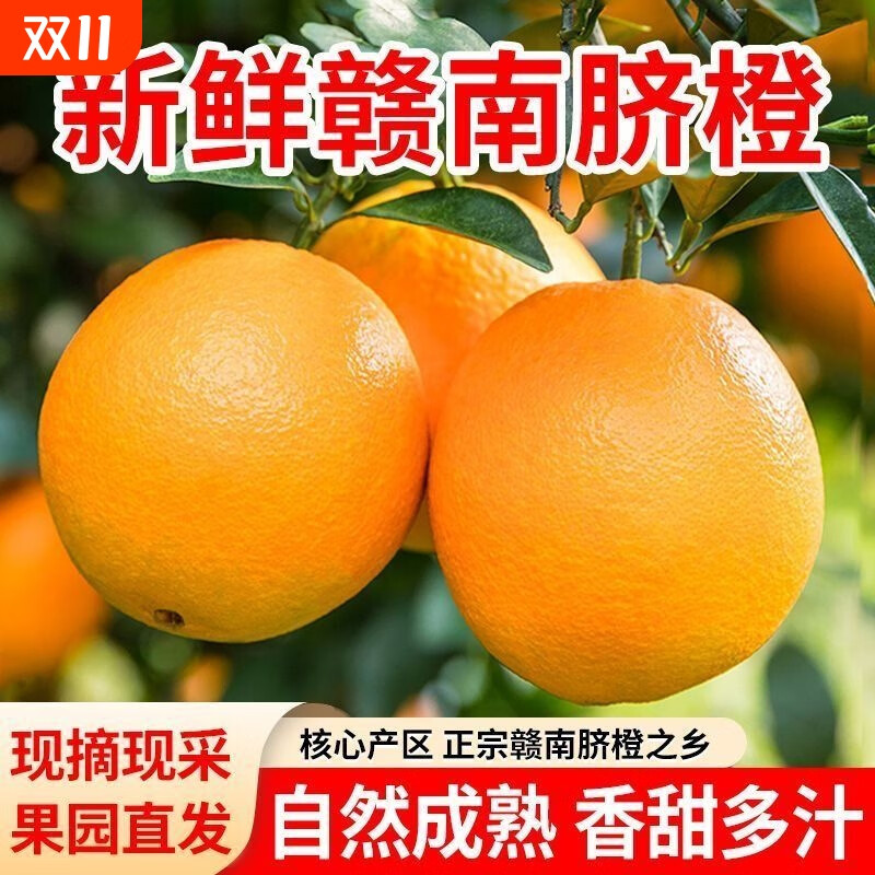 春福乐【果园直采】正宗江西赣南脐橙当季新鲜水果手剥橙子整箱包邮 5斤严选装【老农手挑】净重4.5斤60MM+