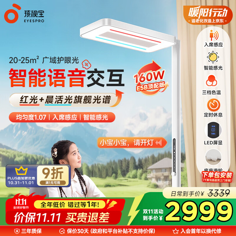 孩视灯家用落地大路灯E5-160W-R