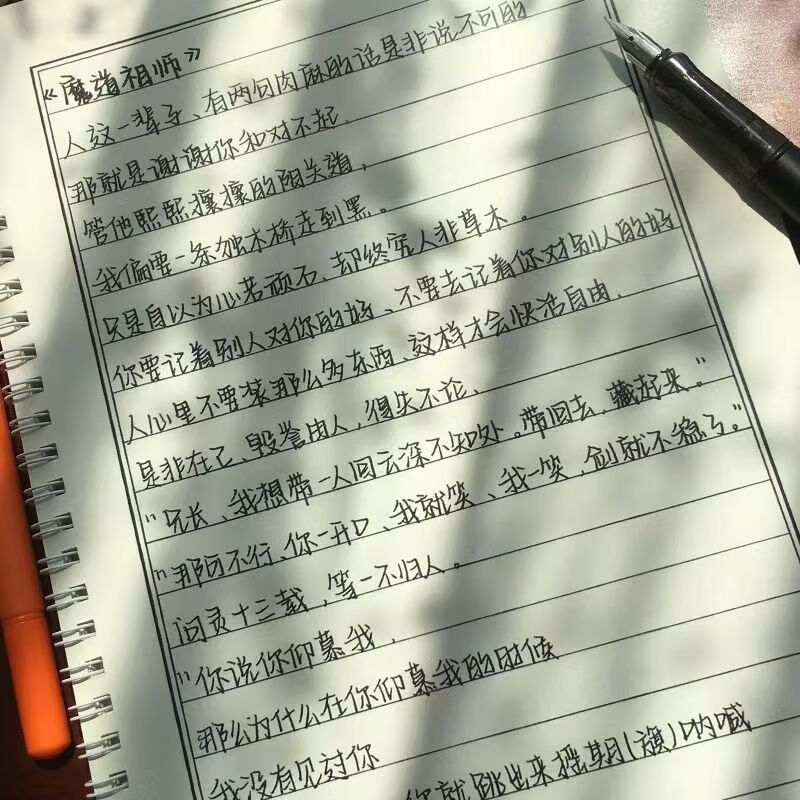 山头林村猫印堂沄潮体手写练字帖奶酪鲸落高中生高中女生硬笔书法练字