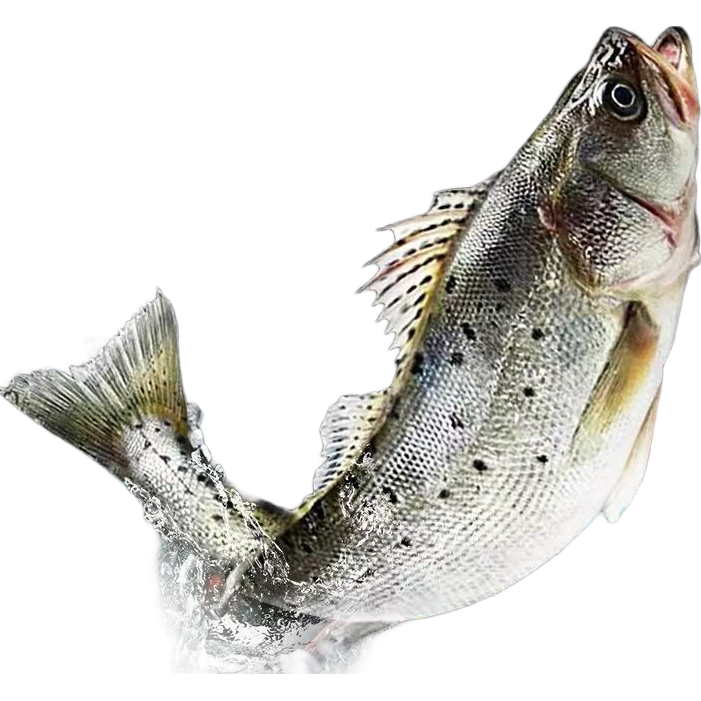 �������ȥ������ϴ������ձ��ʻ��������ٶ��䶳������Ӫ�� 500��-600�� ����������5����������ѡ����������ѡ 99.99Ԫ