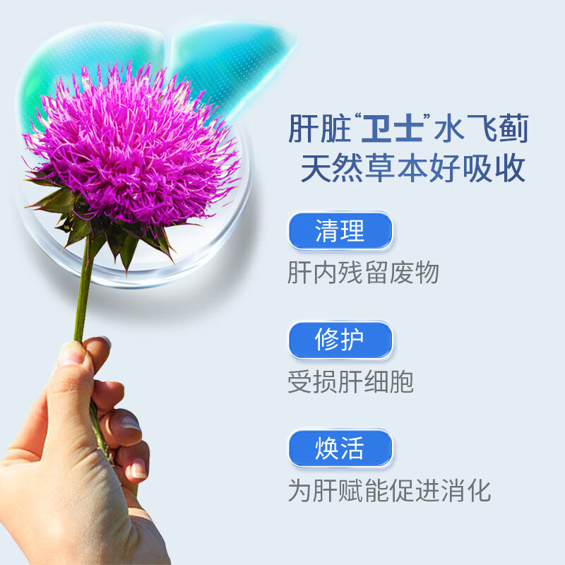 Lucovitaal水飞蓟胆碱护肝胶囊60粒/瓶姜黄奶蓟草加班熬夜喝酒养肝 60粒*1瓶