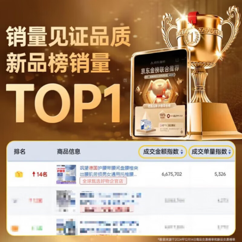 飒望德国护腰带腰间盘突出腰肌劳损腰部支撑男女专用久坐站神器 【男女同款】礼盒装 XL【141-170斤】男女通用