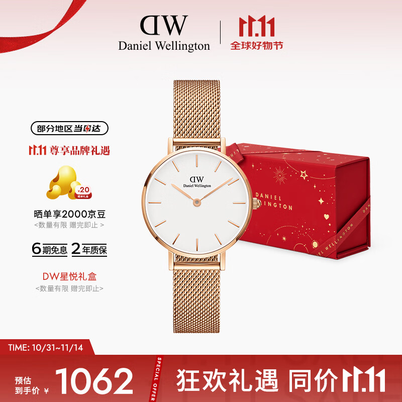 丹尼尔惠灵顿（DanielWellington）DW女士手表简约欧美时尚腕表 石英手表女送女友礼物DW00100219