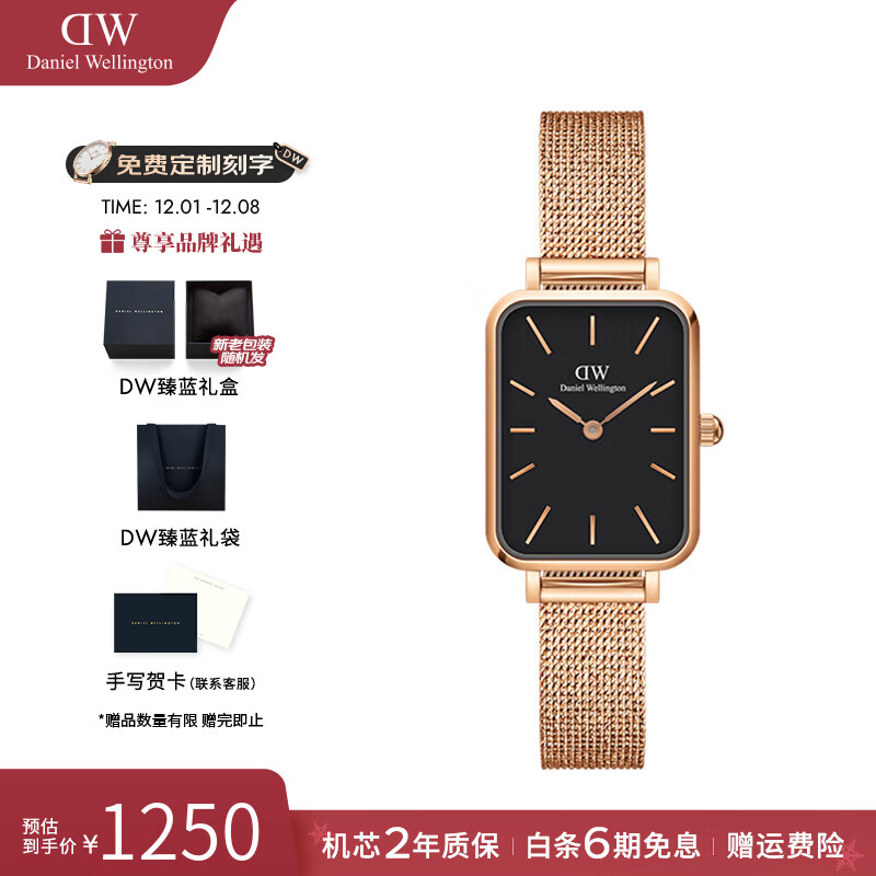 丹尼尔惠灵顿（DanielWellington）dw手表女 复古小方表石英女士手表欧美腕表 七夕情人节礼物送女友 小方块