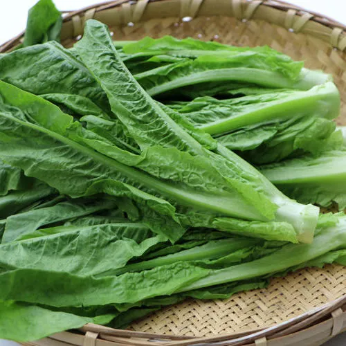 四川新鲜蔬菜 窝笋尖 刷火锅凤尾农民自产 自销莴笋叶 3斤装包邮 净重3斤装