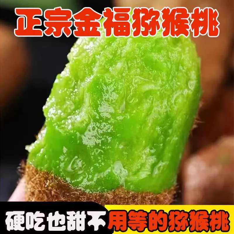 金福猕猴桃绿心猕猴桃应季孕妇当季水果奇异果精品新品种批发价 带箱3斤约22枚左右50-70克