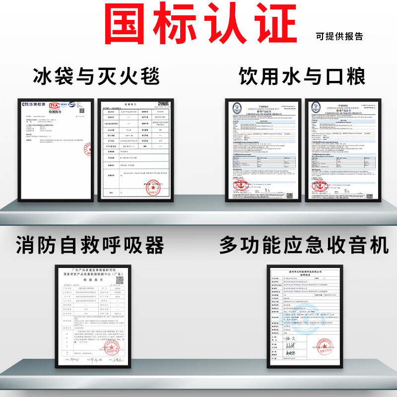 安索家庭应急储备物资全套战争人防战备包地震末日生存装备套装应急包 豪华单人套装(现货速发)