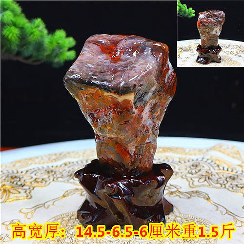 中掌柜精品新疆木化石原石摆件硅化木木变石奇石收藏带底座 木化石001