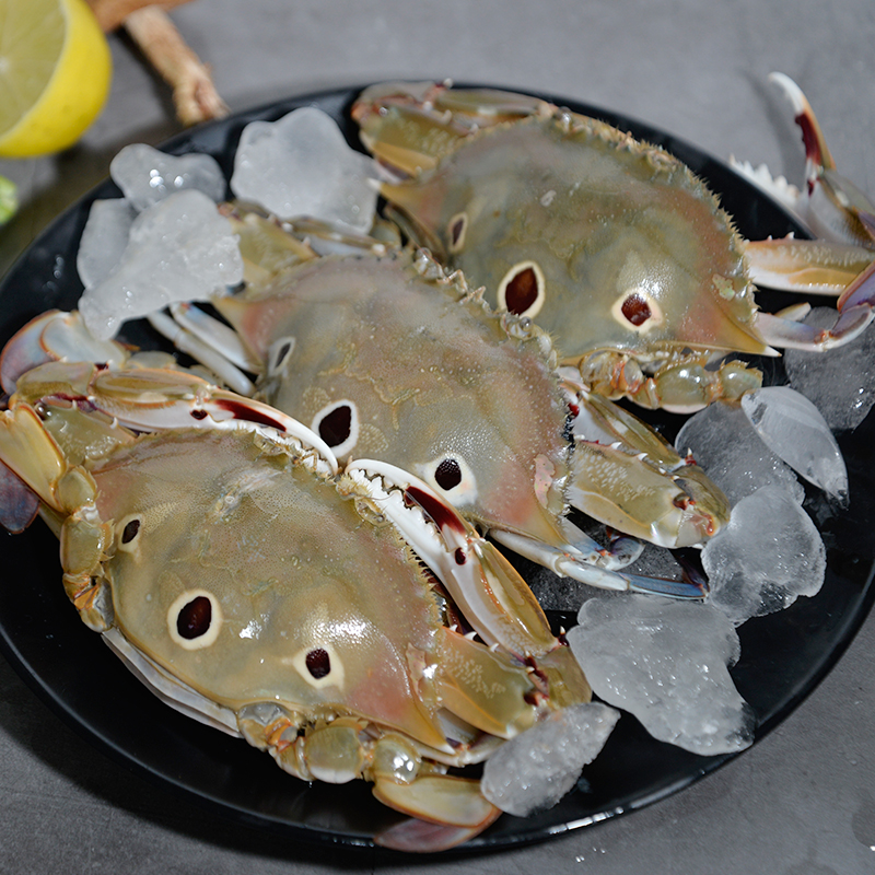 【3斤三眼蟹】东山海蟹三眼蟹活冻梭子蟹鲜活母蟹满黄三目蟹三点蟹