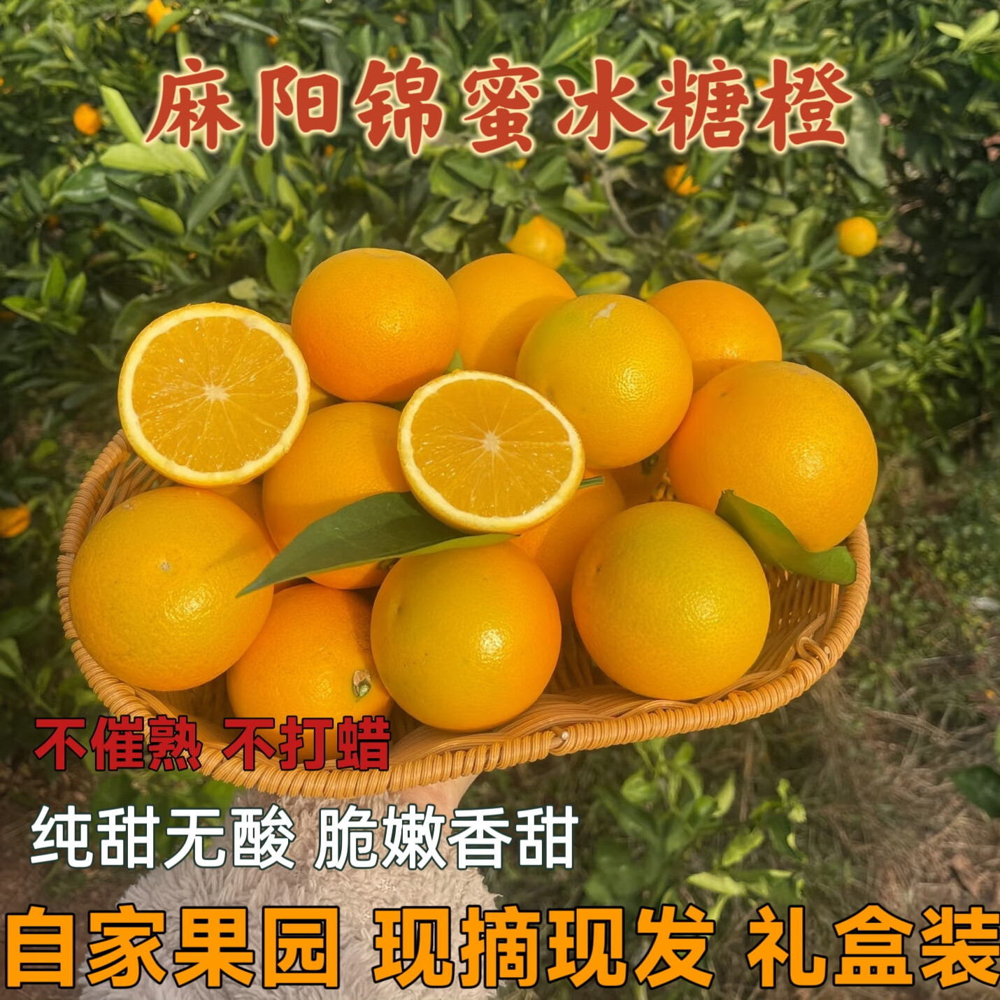 沣御园湖南怀化麻阳冰糖橙 当季整箱果冻甜橙手剥橙新鲜橙子水果 4.5斤大果果径约60-65mm