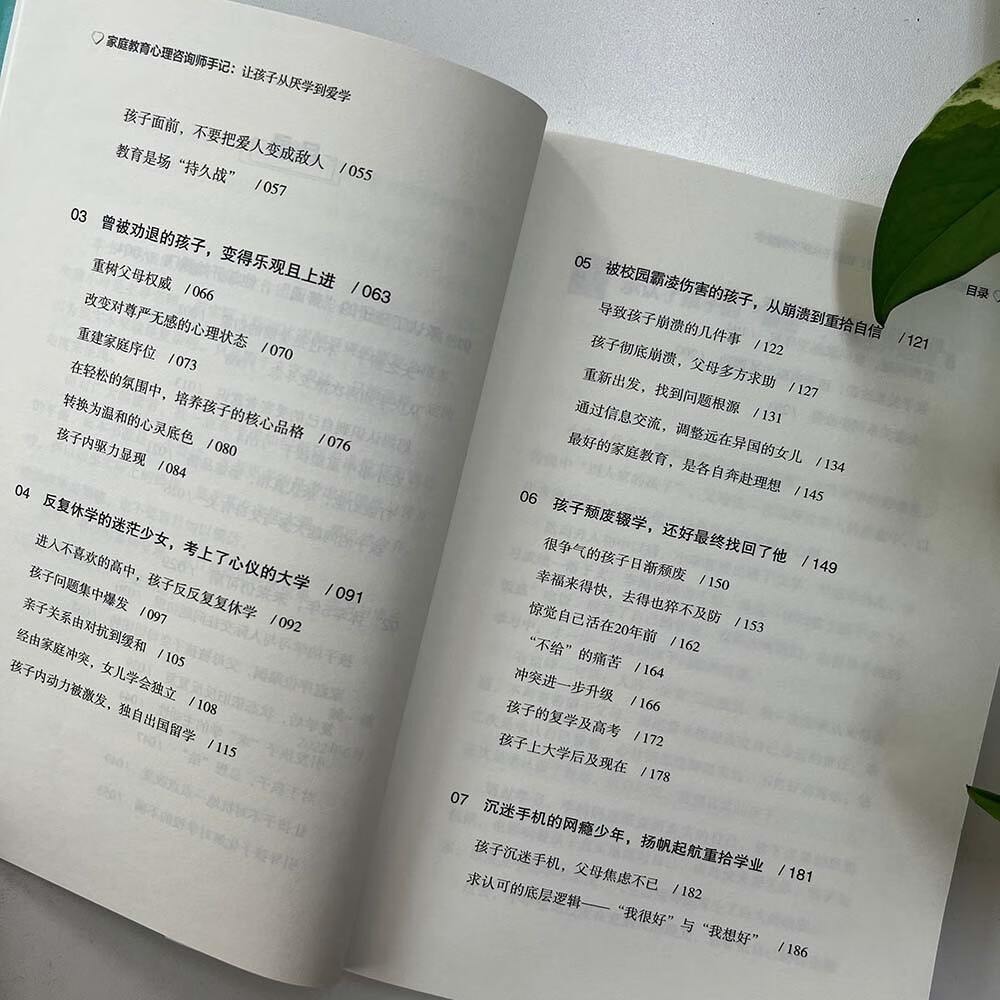 家庭教育心理咨询师手记：让孩子从厌学到爱学