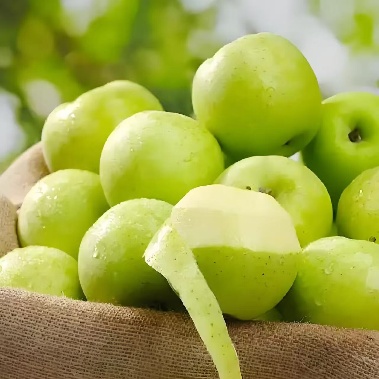 正宗王林苹果生鲜水果当季脆甜雀斑王林青苹果新鲜水果整箱礼盒装 礼盒装【12枚】10斤装【果王送礼】100+mm