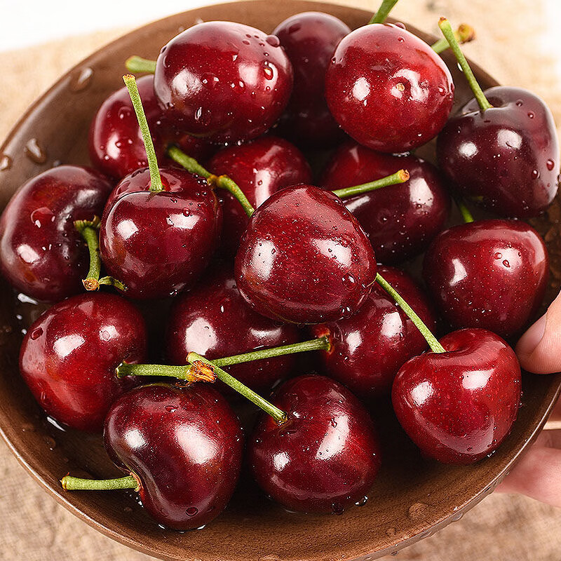 鲁禧海岸头茬大樱桃 新鲜水果 国产车厘子 山东樱桃 当季时令生鲜 端午节 4斤(净重) 带箱5斤家庭装 优选果22-26mm