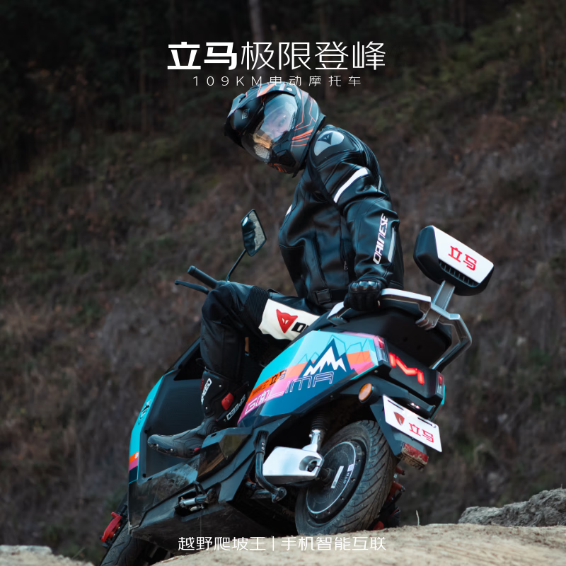 立马电动摩托车【CCTV大国品牌】极限登峰高速续航109KM 超强劲电机72V38Ah铅酸智能电动车蒂芙尼蓝