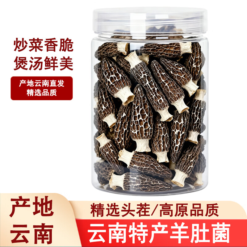 滇味十足羊肚菌 云南特产头茬年货礼盒滋补营养南北干货山珍菌菇煲汤食材  【精选5-8cm】50克/罐