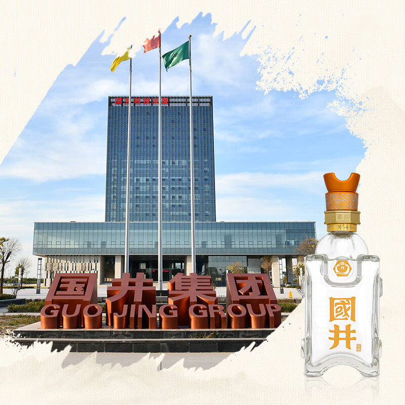 国井白酒52度国5 国井香纯粮酿造礼盒装白酒收藏 送礼白酒山东名酒 52度 480mL 2瓶