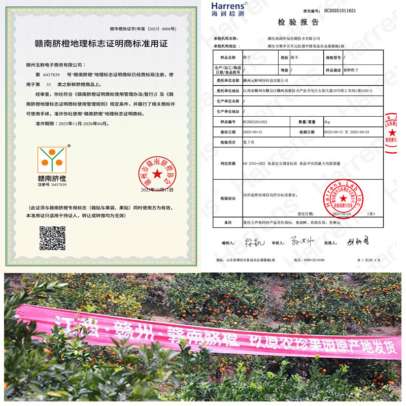 玖原农珍 赣南脐橙新鲜橙子含箱10斤净重9斤优选果150-300g 年货水果礼盒