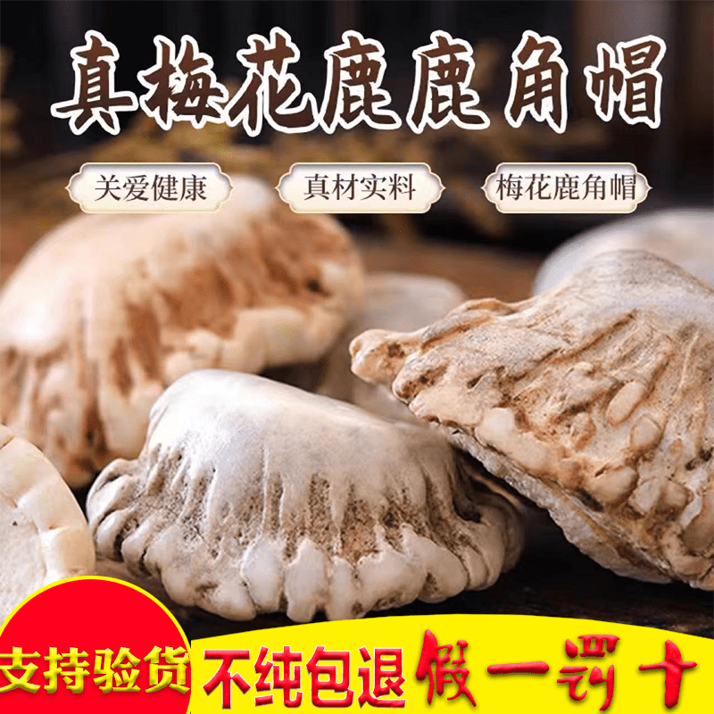 朴医佗纯正吉林梅花鹿帽整个鹿角冒托盘脱盘粉通乳500克疏通乳下奶250g 鹿角帽500克