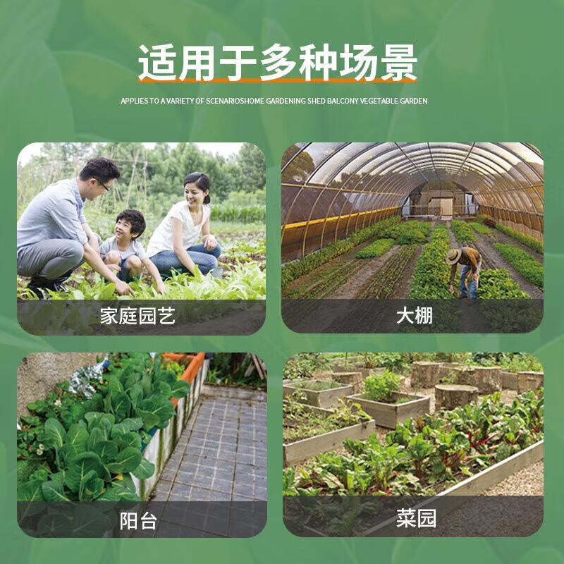 花沃里蔬菜种子大全耐热耐寒生菜菠菜豌豆尖香葱香菜樱桃萝卜鸡毛菜荠菜 荠菜种子约9.9g*3包共30g