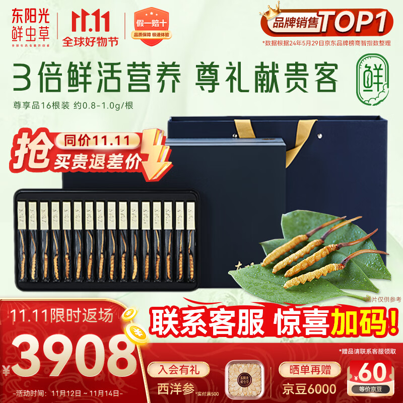东阳光鲜虫草0.8-1g/根16根新鲜冬虫夏草补品送长辈老人源头直发包邮