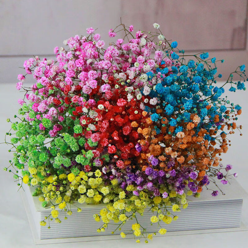 京噶满天星干花花束客厅摆轻奢干花真花装饰摆件鲜批发云南天然风插瓶