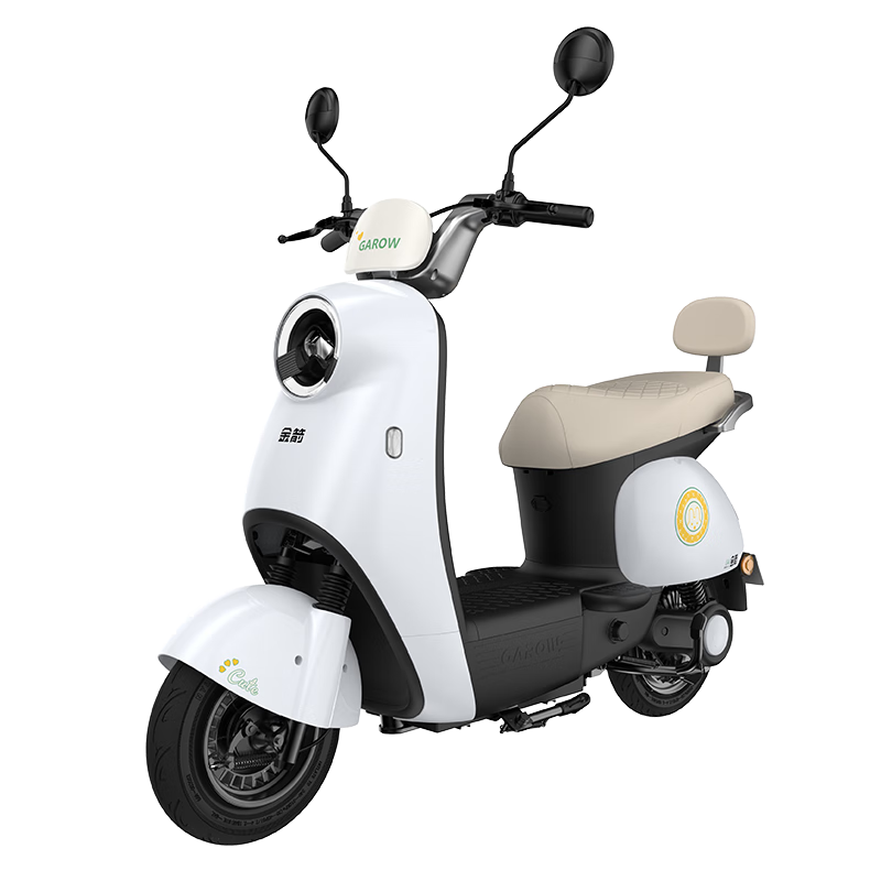 ��� ��� 60V20AHǦ���� 800W̤��綯���Ħ�г� ������ 1749Ԫ