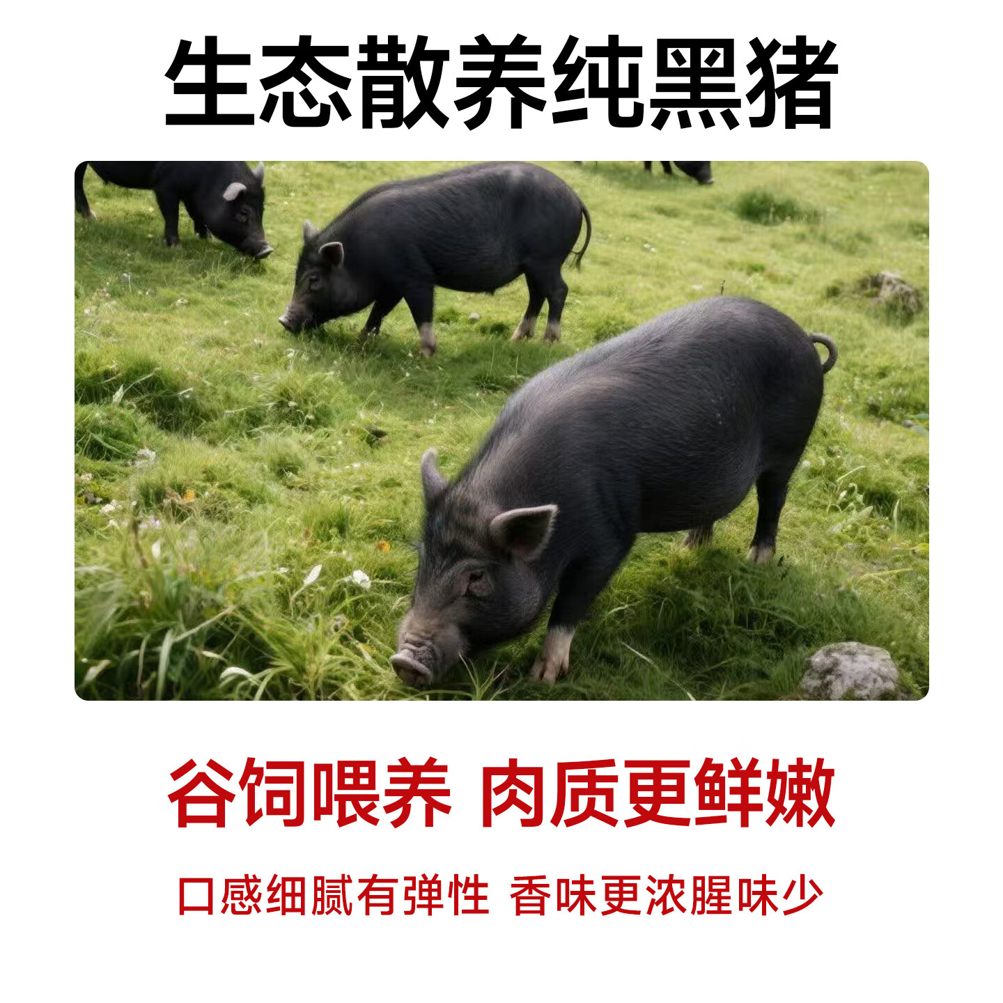棒味虎黑猪肉爆汁烤肠香肠高肉添加量火腿肉肠空气炸锅烧烤食材儿童早餐 【到手18根】 黑胡椒味1盒+原味2盒