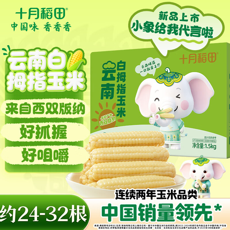 十月稻田 云南白拇指玉米 3斤(24-32根) 低脂杂粮 粗粮代餐 早餐 西双版纳