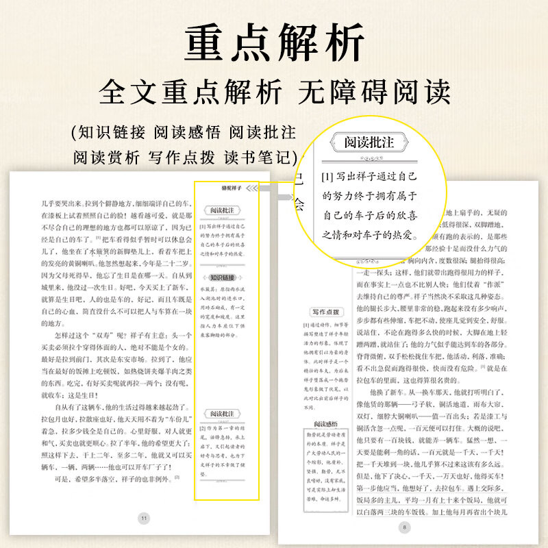 钢铁是怎样炼成的骆驼祥子七年级必读正版原著初中生初一下册必读课外书完整版无删减配套人教版人民教育出版社钢铁是怎样练成的 【配套人教版】骆驼祥子+钢铁 赠配套手册